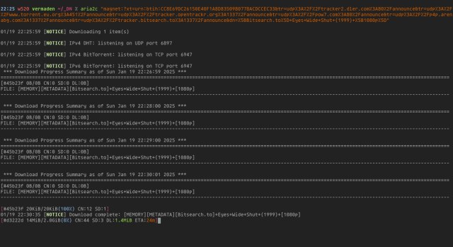 Torrent on FreeBSD