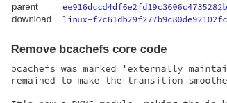 Linus Torvalds Removes The Bcachefs Code From The Linux Kernel